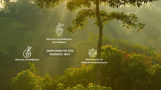 ΒΙΩΣΙΜΟΤΗΤΑ SUSTAINABILITY